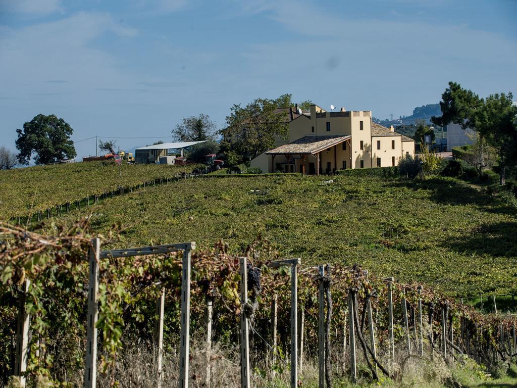 Masseria del Vino Loreto Aprutino Esterno foto
